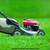 Lawn Maintenance affordable 1 thumbnail