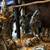 Nativity Set with 13 Figures 3 thumbnail