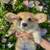 Adorable Corgi 1 thumbnail