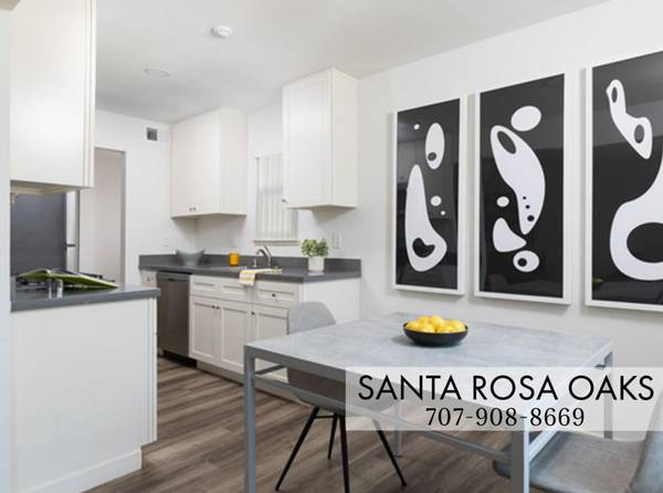 $2,295 / 2br - New 2 Bed with Gourmet Kitchen- Washer & Dryer in unit, 4 WEEKS OFF! (santa rosa)63813715900803120