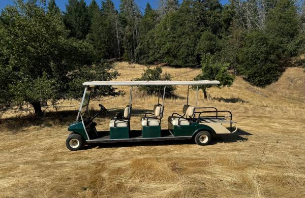 Club Car villager eight passenger electric cart 48v 1