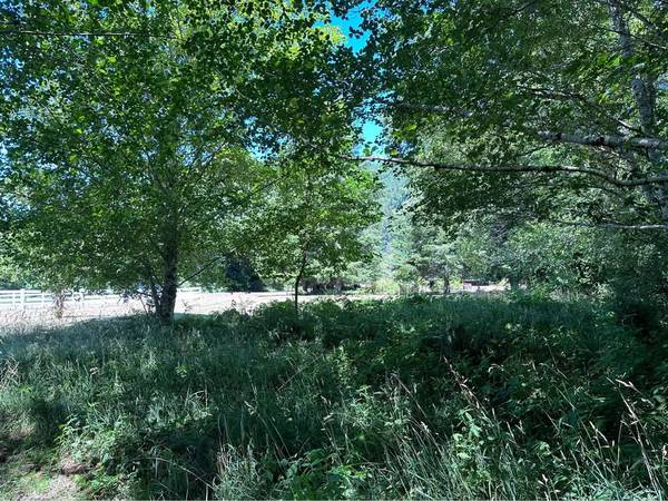 $100,000 Riverfront Property for sale Fisherman Heaven (Naselle)63956788482690123