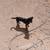 Rehoming 2yr Chihuahua 3 thumbnail