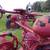 Farmall H OR M Lights set of three 4 thumbnail