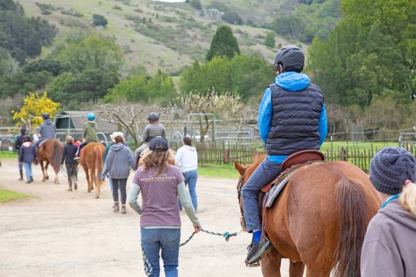 Love horses? Good with people? Like being outdoors? 1