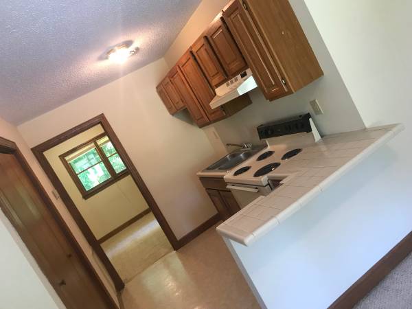 $825 / 1br - 550ft2 - Un dormitorio cerca de ETSU (Johnson City)63847330106243121