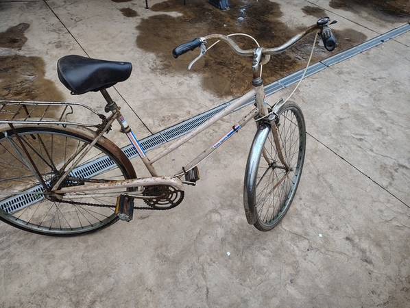 Ted Williams 3 speed Free Spirit 1