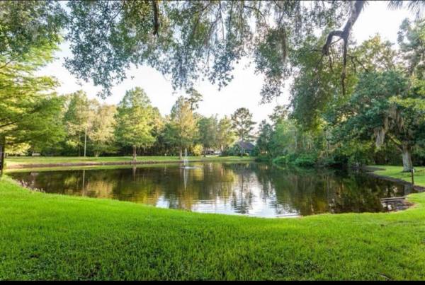 $775 / 6br - ¡DISPONIBLE AHORA! Opciones de vivienda compartida disponibles en Gainesville, FL (Gainesville)63823028365825120