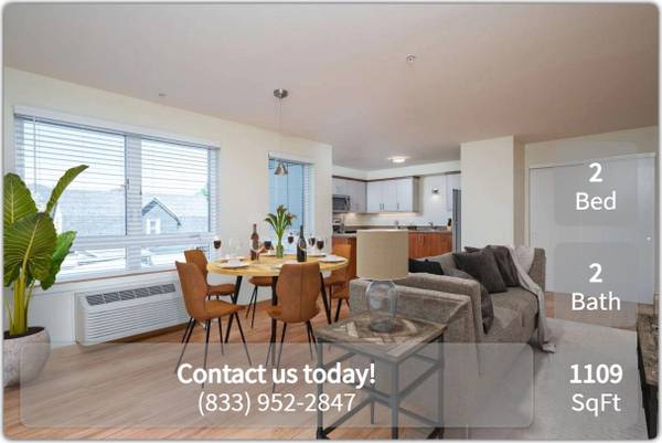 Spacious 2 Bed 2 Bath Apartment with In Unit W/D! Rooftop Views! 1