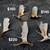 Moose shed antler deer skull bull rack european mount taxidermy 14 thumbnail