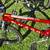 HARO bmx bikes like new!! 3 thumbnail