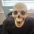 Talking Skeleton with wired Microphone 2 thumbnail