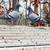 Pigeons 2 thumbnail
