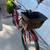 Electra “The Betty” CANDY APPLE RED with FLAMES 3-Speed Cruiser 3 thumbnail