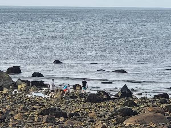 $1 / 5br - Premier Oceanfront house, steps to the beach! (Scituate, MA)63892102275202121