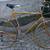 Road bike men’s bicycle 27 in wheels Royal Knight 10 speed, 23 inch fr 5 thumbnail