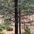 Work there, Cherish life here - Applegate, Oregon 10 thumbnail