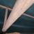 CANOE COLEMAN 16' WITH OARS. 3 thumbnail