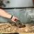 Rehoming ball python 5 thumbnail