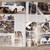 3 Car Craft magazines Street Outlaws, Camaro turns 50 5 thumbnail