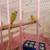 Lovebirds y Greencheek Parrots 19 thumbnail