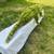 Vintage Large Plush Toy Alligator Reptile 5 thumbnail