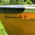 Canoe We-No-Nah Wenonah MNII MN2 Minnesota 2 5 thumbnail