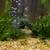 Tropical Aquarium Tank and Accessories 2 thumbnail