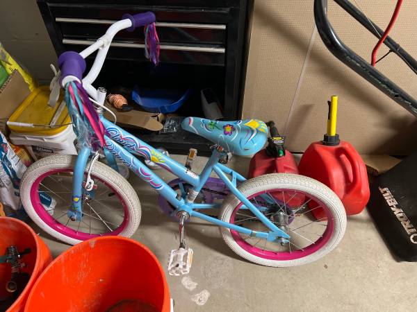 Free Girl’s 21” Bicycle 1