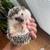 Hedgehogs 1 thumbnail