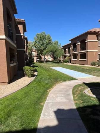 $1,430 / 2br - 851ft2 - Comunidad para mascotas en Sun City West. 2 dormitorios / 1 baño. ¡Llame para una visita! (Sun City West)63623968934659121
