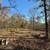 3 Acres For Sale! 9 thumbnail