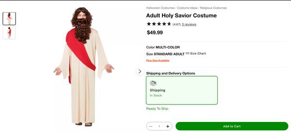 Adult Holy Savior Costume 1
