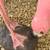 Vintage Flamingo Figurines 6 thumbnail