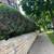 🌲🌼🌺JARELY’S LANDSCAPING & TREE SERVICE LLC🌼🌺🌳 8 thumbnail
