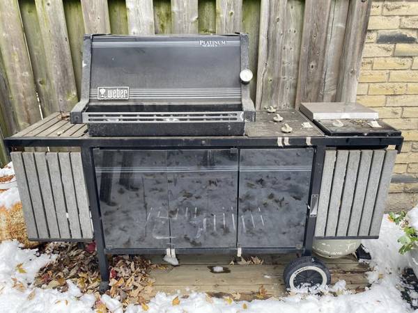 Weber Platinum Series BBQ 1