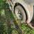 Horse trailer 8 thumbnail