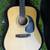 Recording King NAMM Adirondack Mahogany  Dreadnought 13 thumbnail