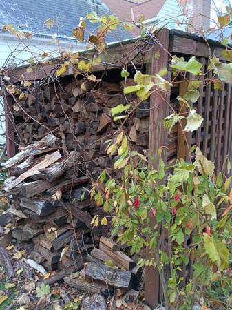 Fireweood- Facechord of hardwood 1