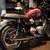 2025 Triumph Bonneville T120 Elvis Edition 3 thumbnail