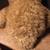 LARGE MTY INTERNATIONAL BROWN TEDDY BEAR BOW TIE PLUSH ANIMAL TOY 34" 7 thumbnail