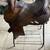 Three Forks Saddlery barrell saddle 4 thumbnail