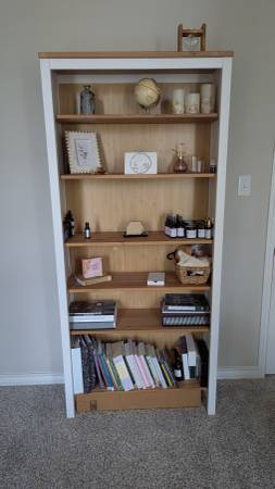 Free Bookshelf 1