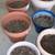 POTS WITH POTING SOIL 2 thumbnail