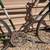 1970 Schwinn Continental 10 Speed Bicycle 5 thumbnail