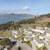 Available now 3 BDRM! Split apartment home at Baker Beach! 2 thumbnail