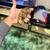 Rehoming ball python 2 thumbnail