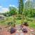 This home is a must see! Great location and pet friendly 19 thumbnail