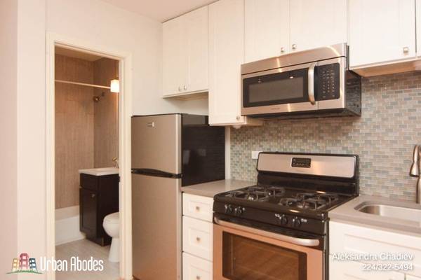 $1,450 / 400ft2 - Awesome Studio, 1 Bath in Logan Square, Available: 11/1/2025 (Logan Square)63899123115650123