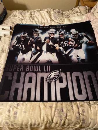 Philadelphia Eagles Carpet 1M x 1M 1